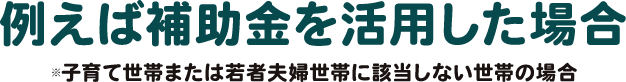 例えば補助金を活用した場合