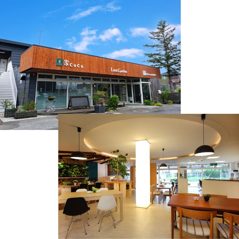 家CoCo店舗